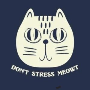 Meet your Posher, Odia